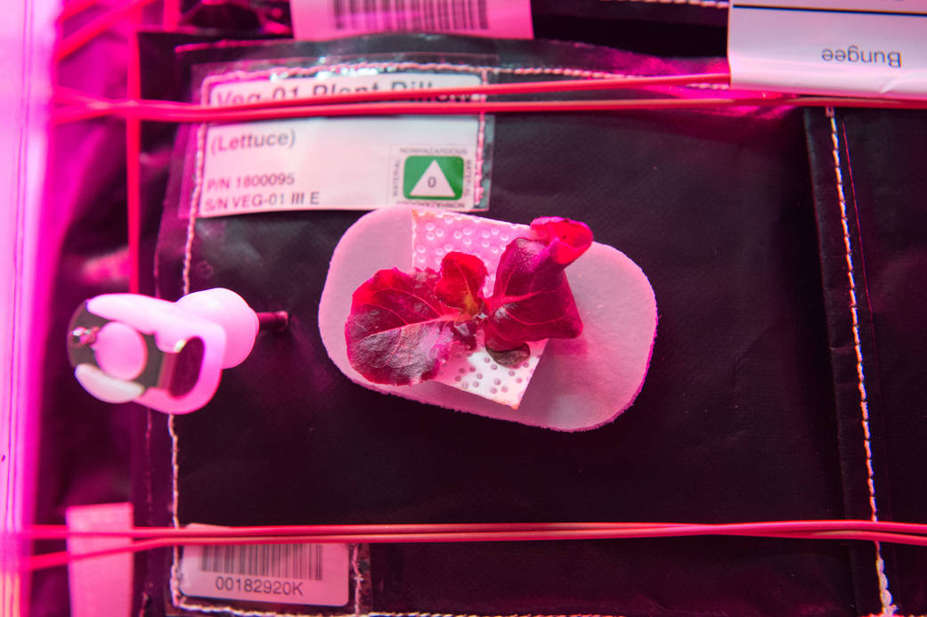 iss044e022126