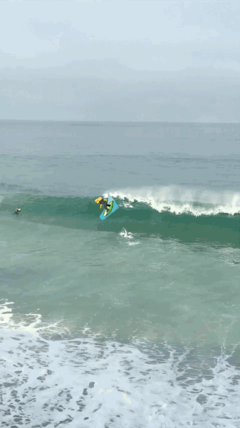 surfer-0