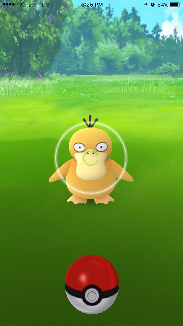 pokemongocatch