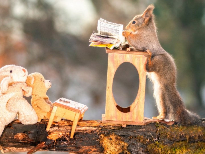 how-to-monetize-your-blog