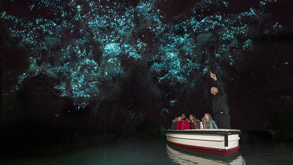 waitomo-glowworm-cuevas_claima20150901_0071_28