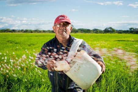 campesino-espanol-arroz-452x300
