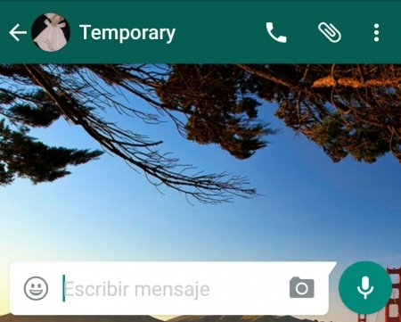 whatsapp-image-2017-02-18-at-173031-450x361