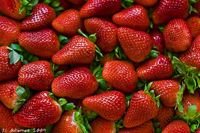 fresas