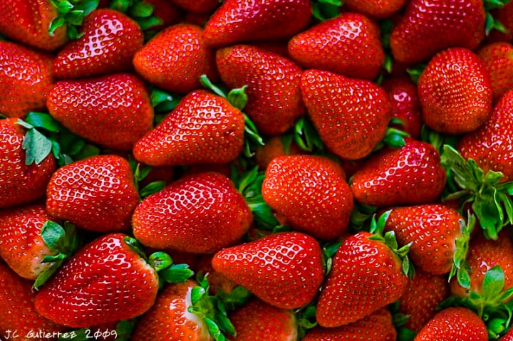 fresas