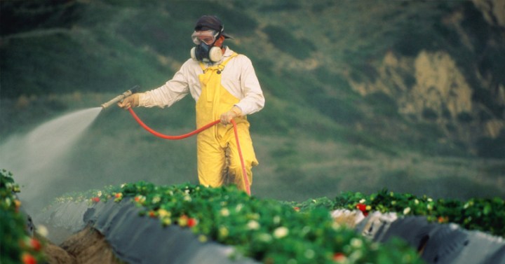 how-to-remove-pesticides-from-produce1